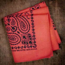 BANDANA TATOO PAISLEY PULSE (7 colors) made in USA