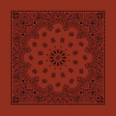 Bandana Paisley Tatoo Pulse - Brique  made in USA