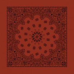 Bandana Paisley Tatoo Pulse - Brique  made in USA