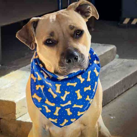 Blue Bone Pattern Triangular Dog Bandana