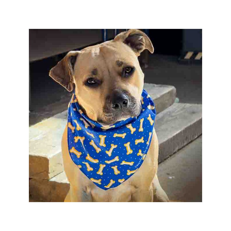 Blue Bone Pattern Triangular Dog Bandana