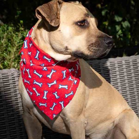 Bandana triangulaire pour chien motif os Rouge