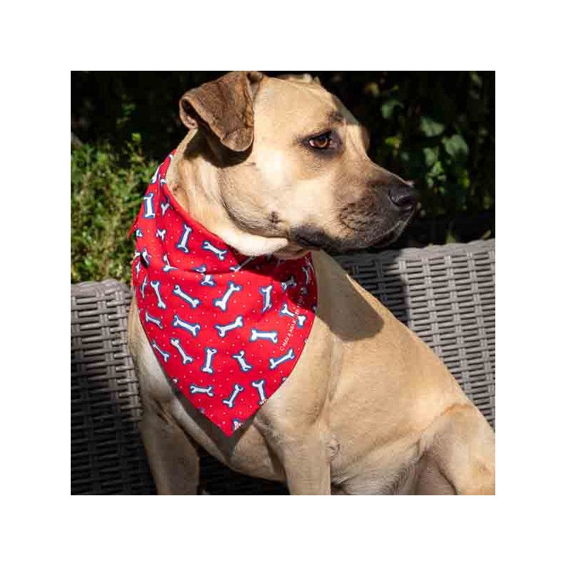 Bandana triangulaire pour chien motif os Rouge