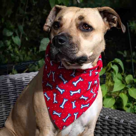 Bandana triangulaire pour chien motif os Rouge