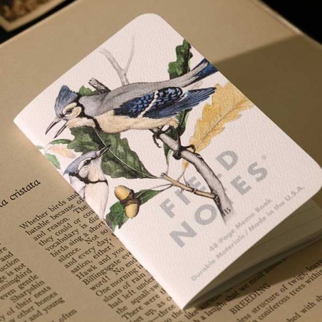 FIELD NOTES trio de carnets Birds and Trees