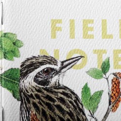 FIELD NOTES trio de carnets Birds and Trees